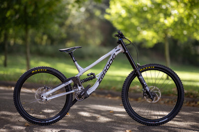 G3 Expert